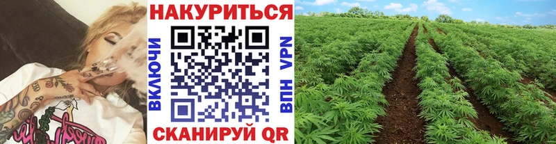 Бошки марихуана Ganja  как найти наркотики  Слободской 